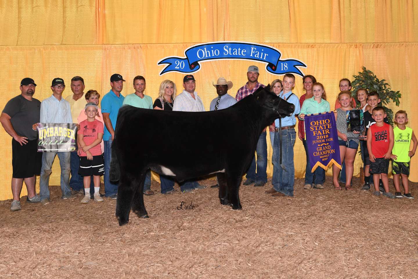 Caden Jones, Champion Steer, Ohio State Fair 2018