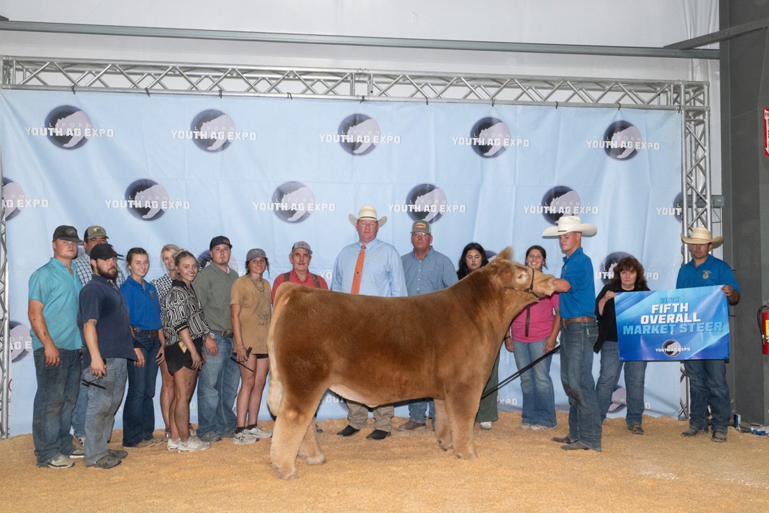 Chance Ward with the Fifth Overall Market Steer at the 2025 California Youth Ag Expo