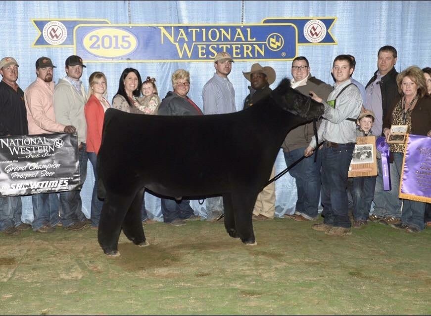 Grand Champion Prospect Steer National Western Stock Show 2015, MONOPOLY x 618