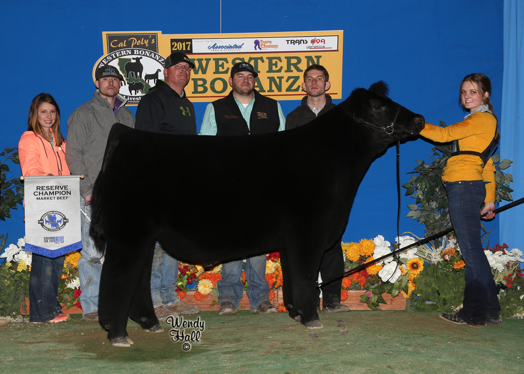 Hailey Traynham, Reserve Champion Market Steer, Western Bonanza, 2017, Monopoly x Miss Dejavu 618